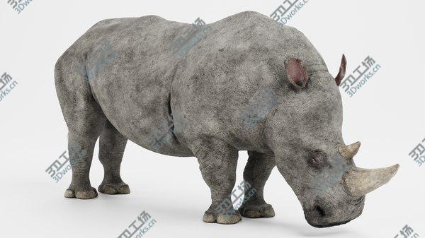 images/goods_img/20210312/3D White Rhinoceros/3.jpg